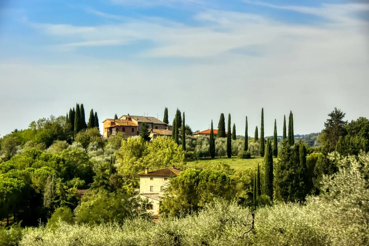 Cypress hills at golden hour, Tuscany, Italy