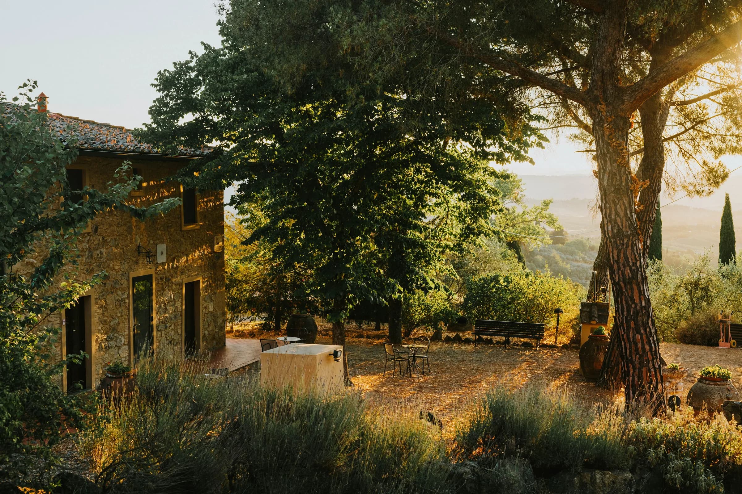 Farmhouse among cypress and olive groves at golden hour, Tuscany, Italy